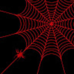 Meet your Posher, Celeste vasquez